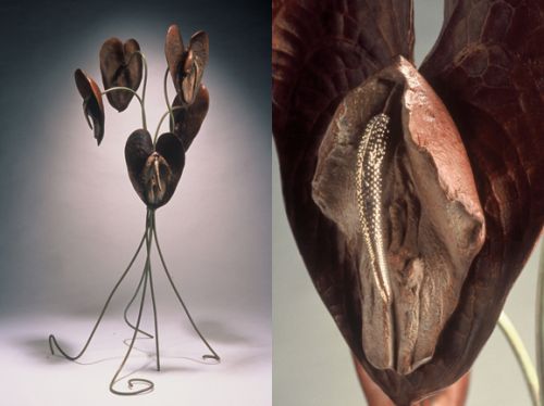 Anthurium, 2002 — Unique bronze — Shirley Klinghoffer