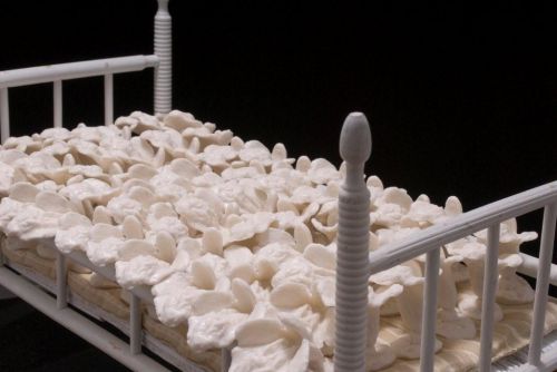 She Cradle (detail), 2006 — Antique wood, rubber vulval castings, fabric — Shirley Klinghoffer