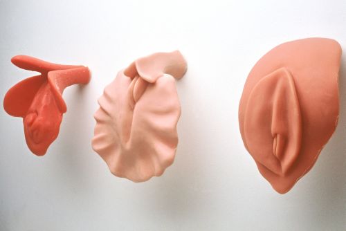 Code Pink, 2004 — Tinted rubber — Shirley Klinghoffer